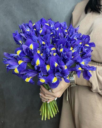 51 ирис